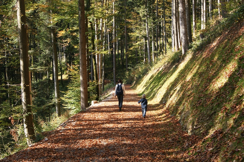 Schnifis_Autumn_5 Schnifis_Autumn_5